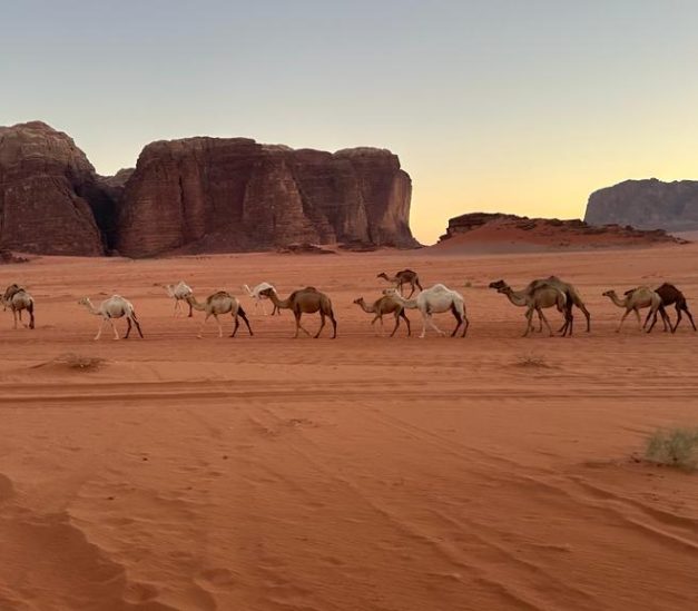 WhatsApp Image 2025-02-26 at 20.56.04_dacdee49