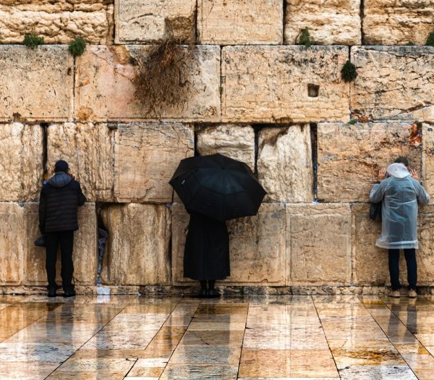 viktor-solomonik-8GSkpFlPymU-unsplash